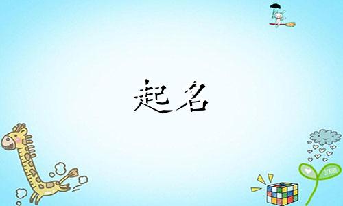 兔宝宝起名宜用哪些偏旁