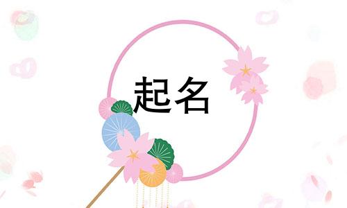 兔宝宝起名字忌讳哪些