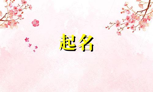 虎仔起名常用字有哪些