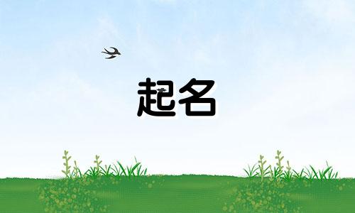 文章标题起名网站有哪些