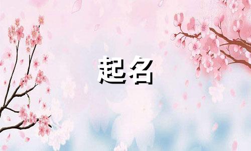 老干部的报纸起名有哪些