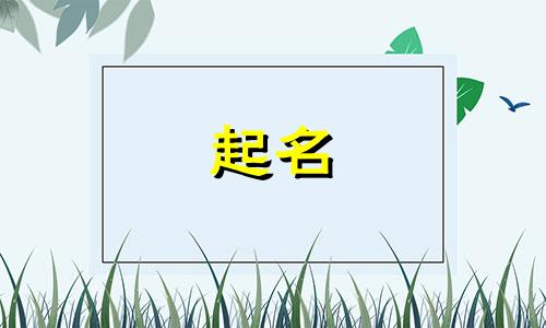 数字起名的软件有哪些免费
