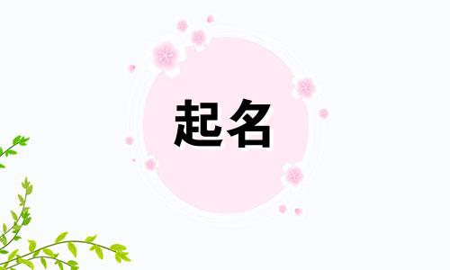 熊猫人起名方式有哪些好听