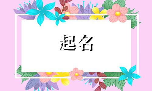 茶叶起名普洱茶有哪些