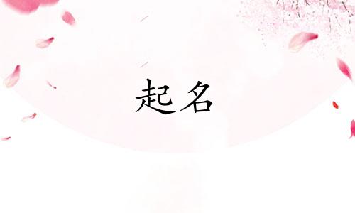 水果起名好记的有哪些名字