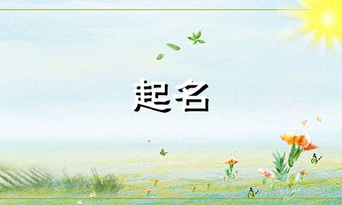 用珩字起名都有哪些名字