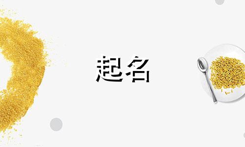电脑上的起名软件有哪些