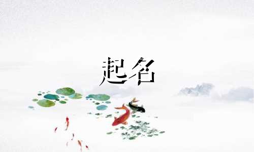 起名打分小程序有哪些好用