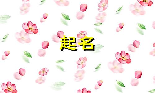 有限公司起名要求有哪些