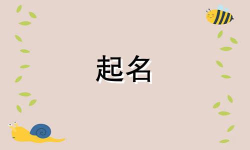 公司起名有哪些讲究和规则