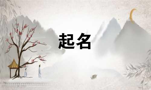 给猫起名的书籍有哪些