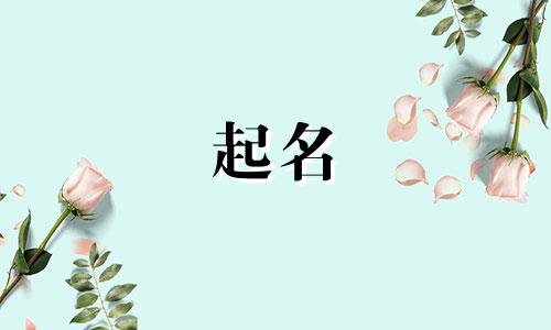 岳云起名有哪些好听的