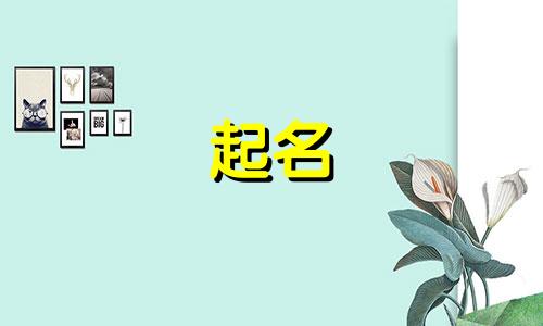 起名好记的男孩名有哪些