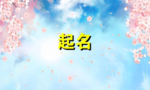 我不会起名软件有哪些名字