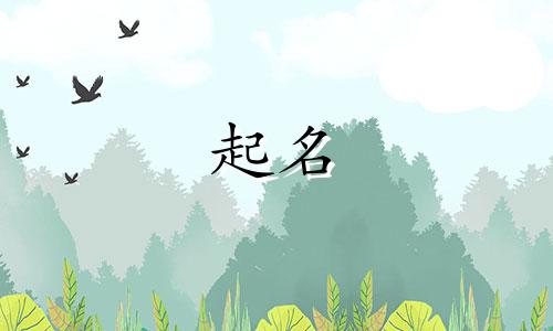 角色起名的电影有哪些名字