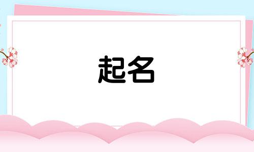 在美国起名书籍有哪些