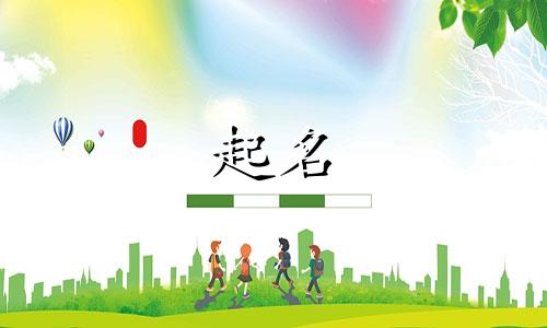 用名字起名的公司有哪些