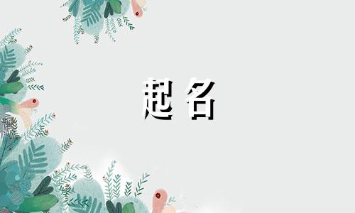 关于起名的歌有哪些名字