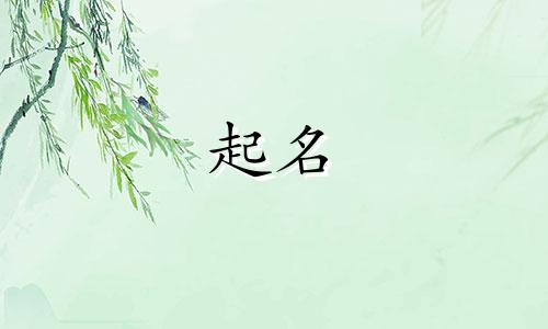 古风起名书籍有哪些好听