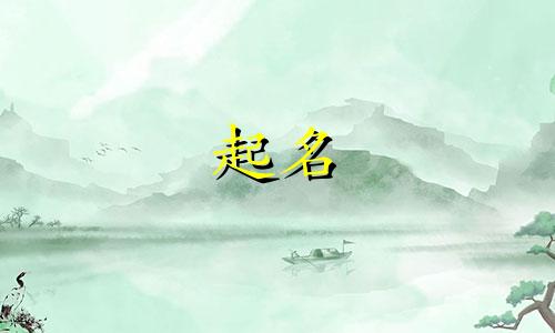 狗狗起名的软件有哪些好用