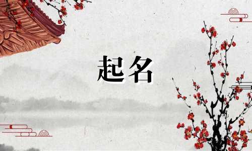 起名指南内容有哪些方面