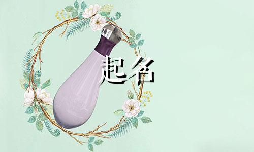 小老虎起名法则有哪些名字