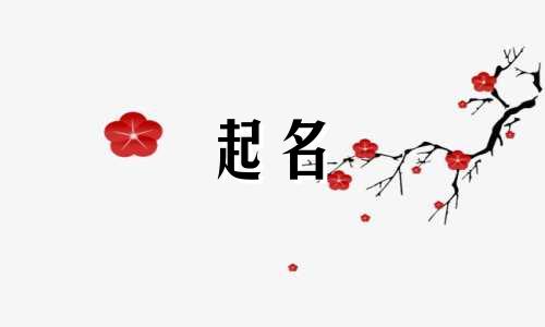 园艺起名用哪些字好听点