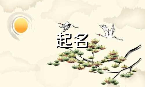 属虎的女人起名哪些好