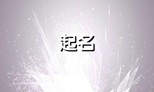 与起名类似的行业有哪些