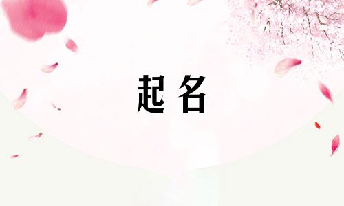网络起名的套路有哪些字