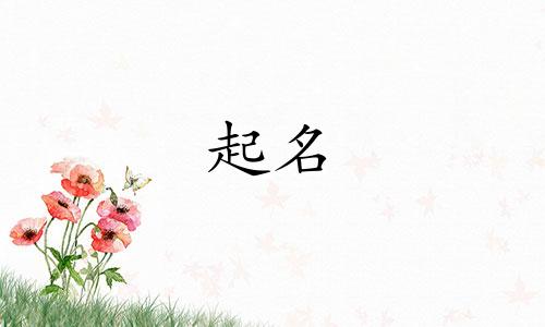 有哪些起名老师的名字好