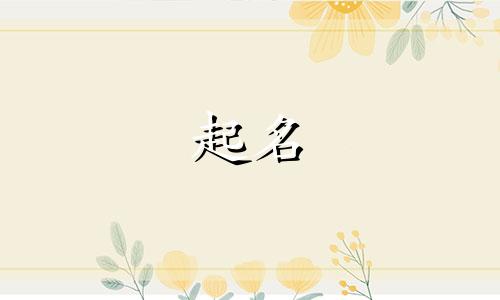 大食堂起名数字有哪些
