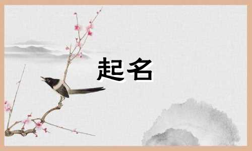 河北梆子作品起名有哪些