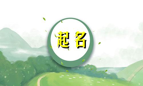 博主帐号起名技巧有哪些