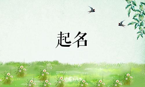 班级起名依据有哪些方面
