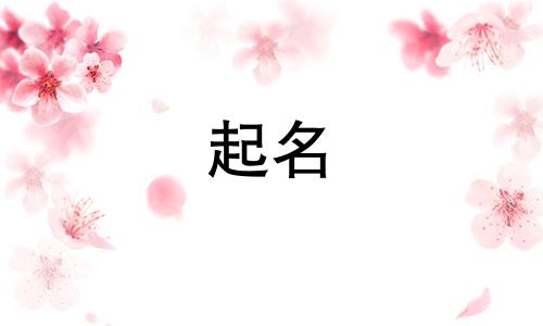 婴儿起名专用字典有哪些