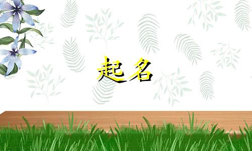 起名缺金用哪些字代替