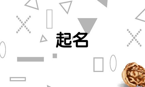 请人起名的歌有哪些歌曲