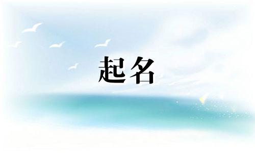 关于起名文案的句子有哪些