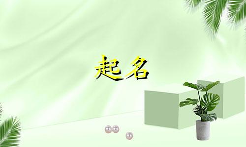 熊猫起名规律有哪些呢英文