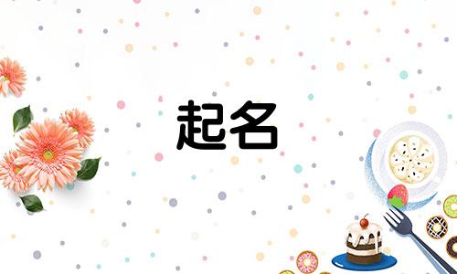 木字旁女孩起名好字有哪些