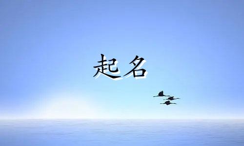 开店起名忌讳哪些字呢女孩