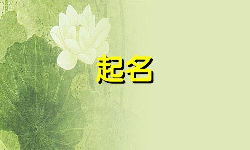 起名女孩适用字有哪些名字