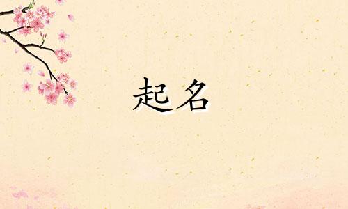 起名宇的替代字有哪些