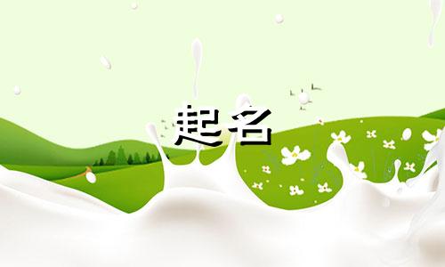 起名有如字的字有哪些