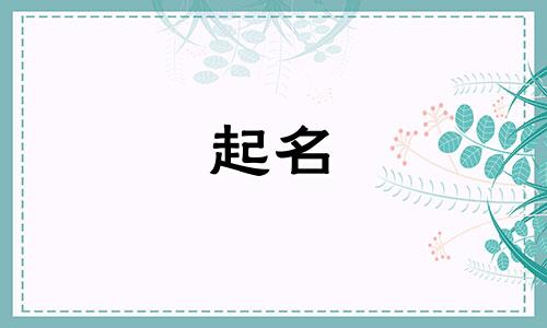 礼仪文化起名字有哪些