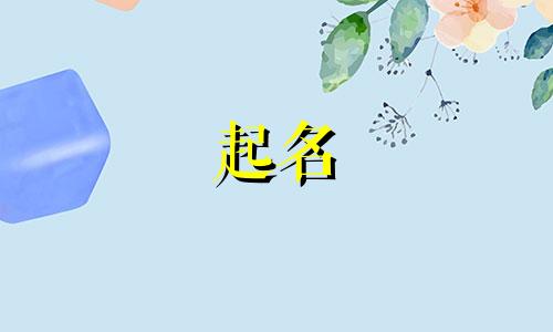 网友起名的字体有哪些好看