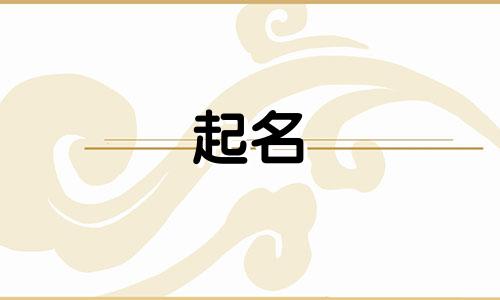 小众的起名改名方法有哪些