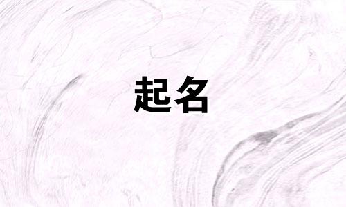 仙人球起名规律有哪些