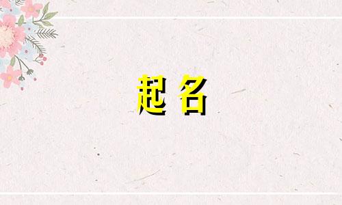 起名动词有哪些英文单词